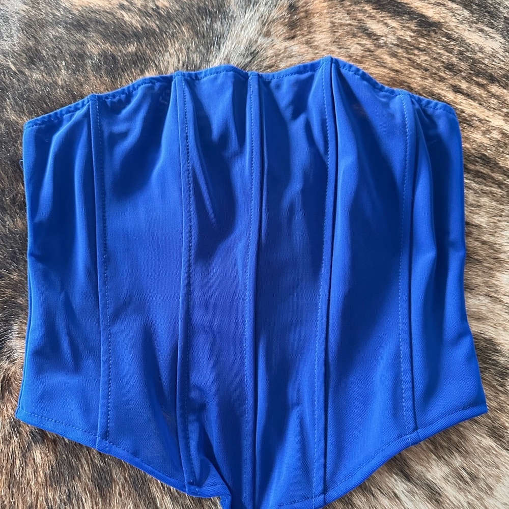 Windsor Sapphire Blue Mesh Corset